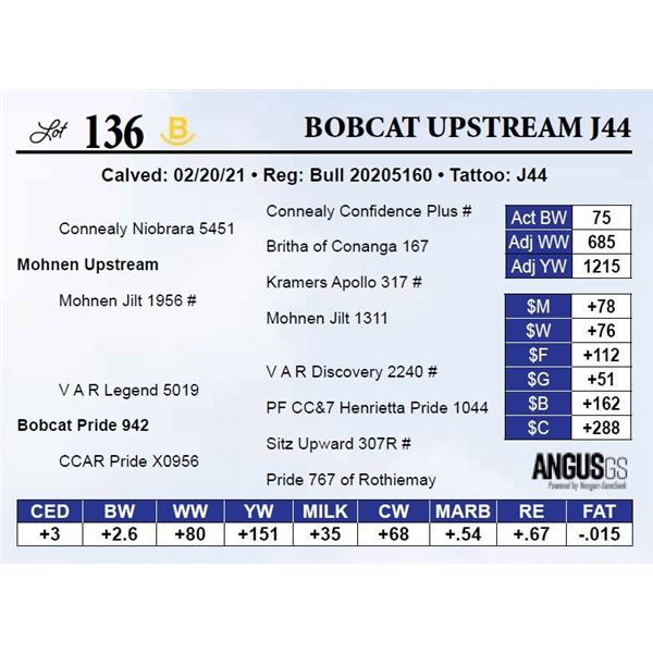 Bobcat Upstream J44