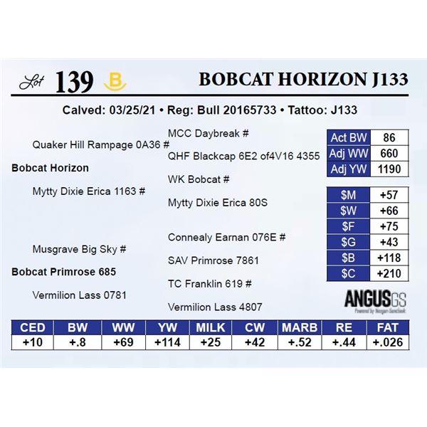 Bobcat Horizon J133