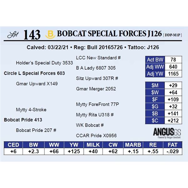 Bobcat Special Forces J126