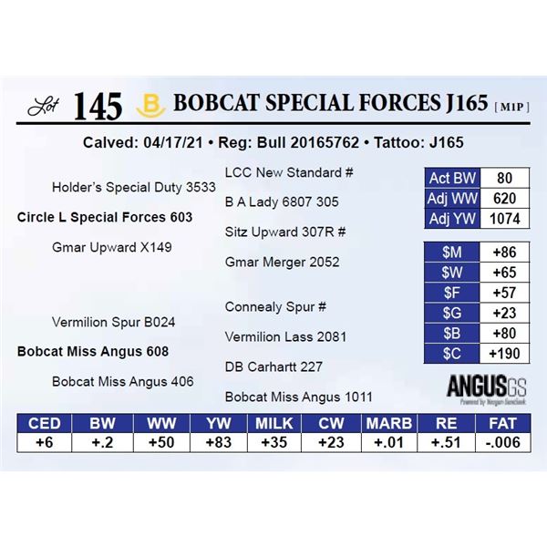 Bobcat Special Forces J165