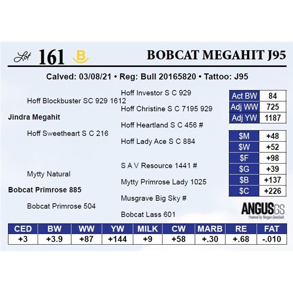 Bobcat Megahit J95 (NO VIDEO)