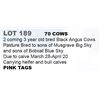 Image 1 : 70 COWS - 2 COMING 3 YEAR OLDS, HOME RAISED COWS