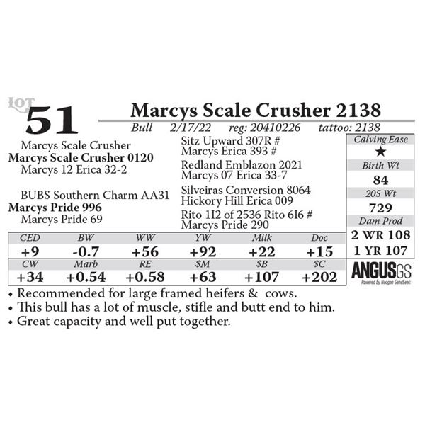 Marcys Scale Crusher 2138