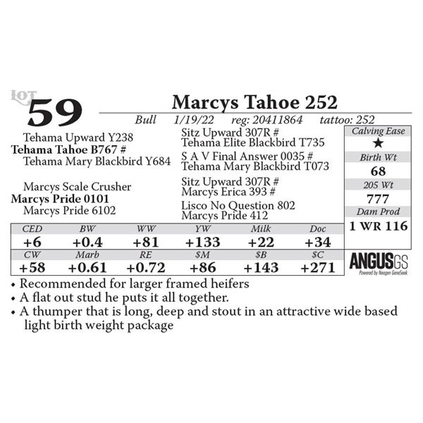 Marcys Tahoe 252