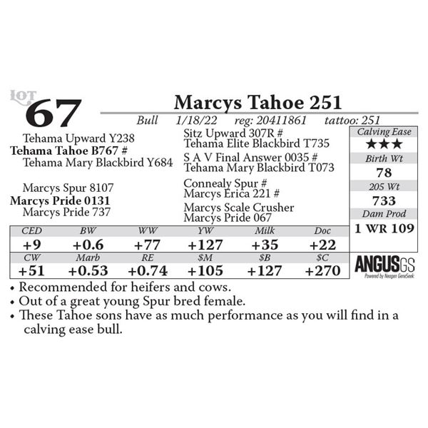 Marcys Tahoe 251