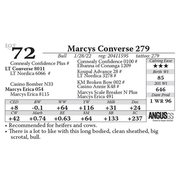 Marcys Converse 279