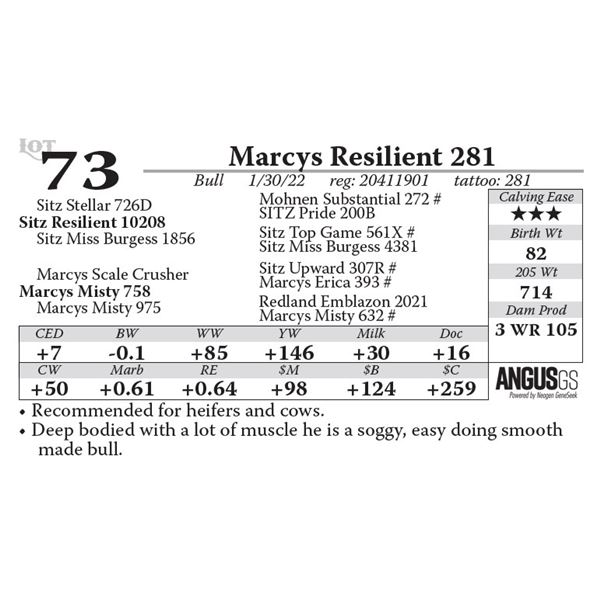 Marcys Resilient 281