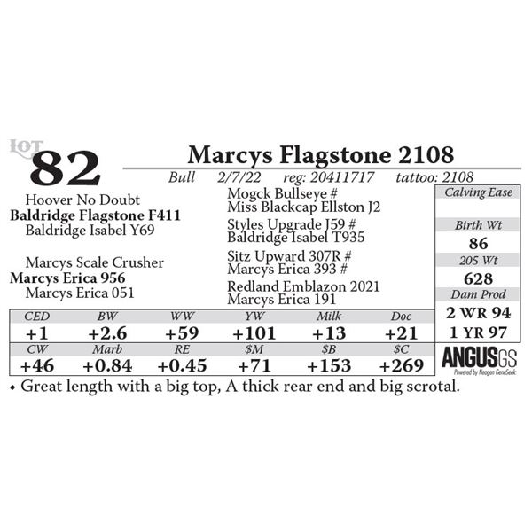 Marcys Flagstone 2108