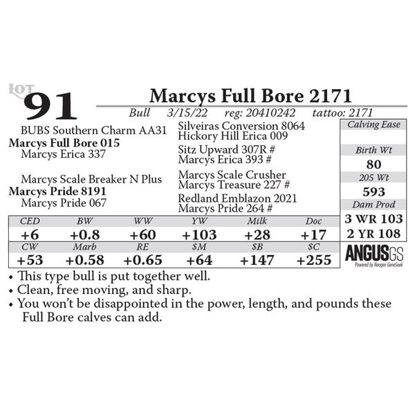 Marcys Full Bore 2171