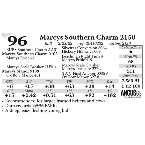 Marcys Southern Charm 2150