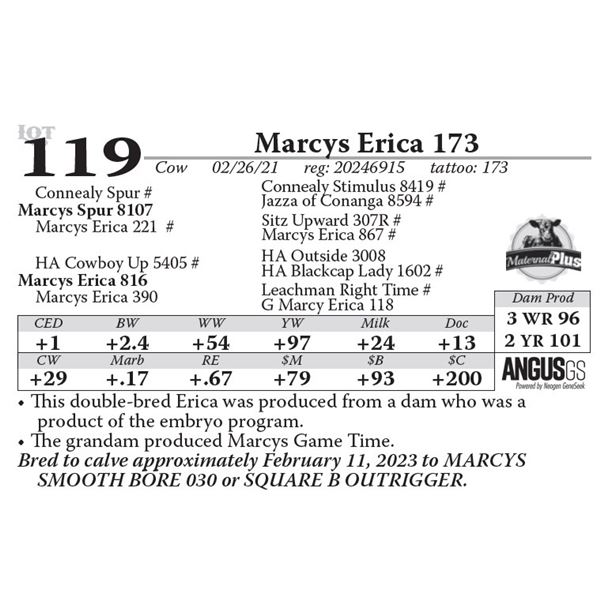 Marcys Erica 173