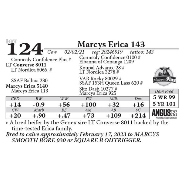 Marcys Erica 143