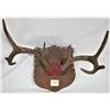 Image 2 : Genuine Deer Antlers Wall Mount Plaque