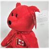 Image 2 : 2001 TY Plush Beanie Baby Bear "Pierre" - All Tags Mint