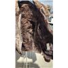 Image 5 : "Winnipeg", Beige brown Suede and faux fur lined adult jacket, approx sz S/M