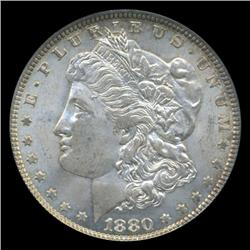 1880 Morgan Dollar Graded MS66 Scarce Variery (COI-5010)