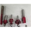 Image 8 : Multiple Raised Panel Door Making Carbide Tipped Router Bits