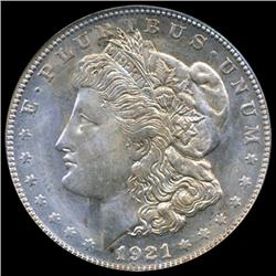 1921S Morgan Dollar Graded MS66 RARE Variety (COI-4999)