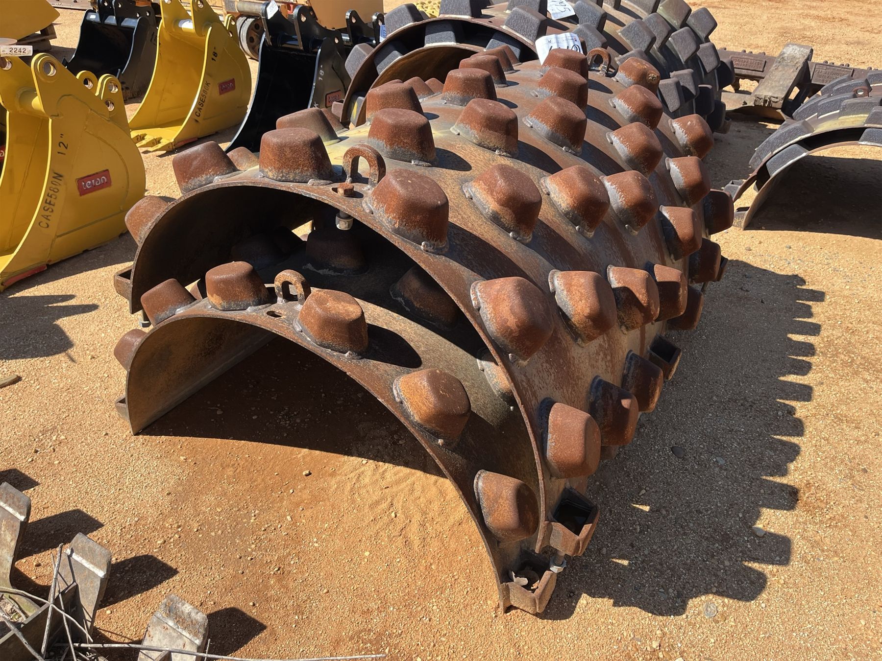 SHEEPS FOOT SHELL, 66