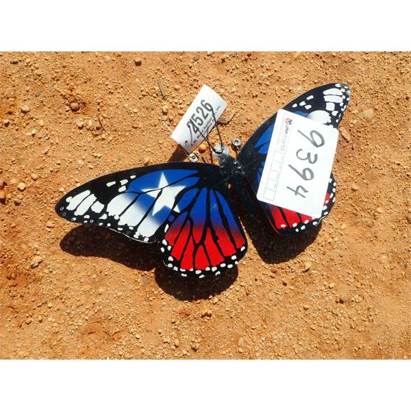 METAL BUTTERFLY (C-9)