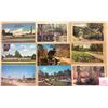Image 2 : South Carolina 350+ Cards