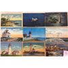 Image 1 : Lighthouses 75+ Cards