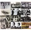 Image 1 : Holland Royalty 140+ Cards