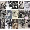 Image 2 : Holland Royalty 140+ Cards