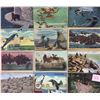 Image 1 : Marine Life 275+ Cards