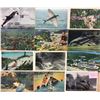 Image 2 : Marine Life 275+ Cards