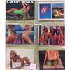 Image 2 : Nude Pin Ups 60+ Cards