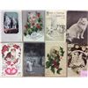 Image 2 : Animals - Cats 50+ Cards