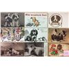 Image 1 : Animals - Dogs 50+ Cards