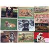Image 1 : Dogs Approx. 300 Cards