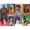 Image 2 : Dogs Approx. 300 Cards