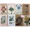 Image 1 : Novelty 50+ Cards