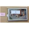 Image 2 : Dogs By Artist Bertiglia 6 Postcards