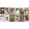 Image 2 : Christmas Holiday Greeting Album 65+ Cards
