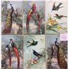 Image 1 : Signed  Klein Birds No. 113-118 Postcards