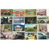 Image 1 : Group of North East USA 475+ Cards