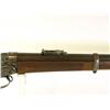 Image 5 : Remington Hepburn No. 3 Long Range 45-75 SN 3286