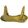 Image 1 : Northern Plains rawhide wrap Indian saddle