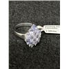 Image 2 : Beautiful Sterling Silver and Tanzanite Cocktail Ring.Stunning!