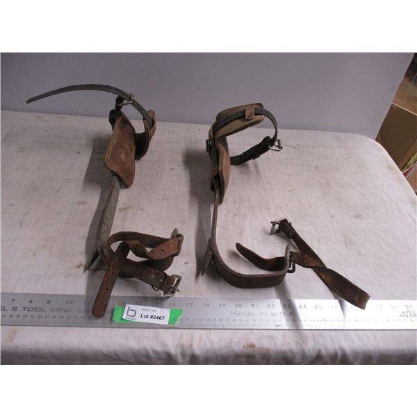 Pole climbing braces with spears on heels