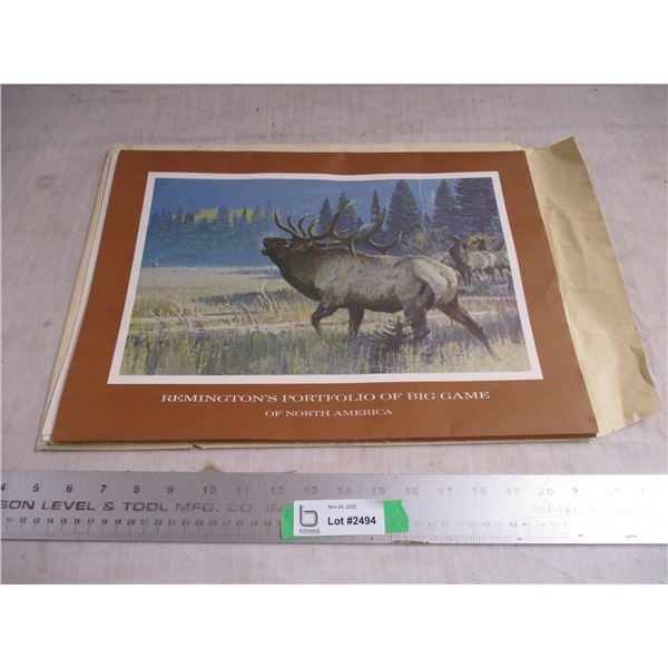 Remington's portfolio of big game