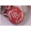 Image 2 : Bag of 60 Winter Games Pins (St. Walburg)