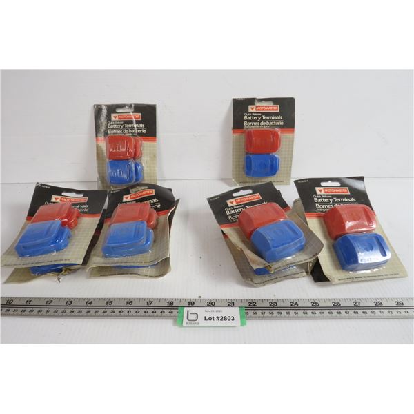 (10) Quick Release Battery Terminals