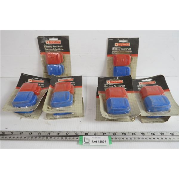 (10) Quick Release Battery Terminals