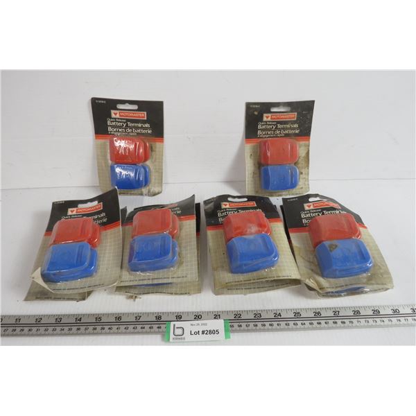 (10) Quick Release Battery Terminals