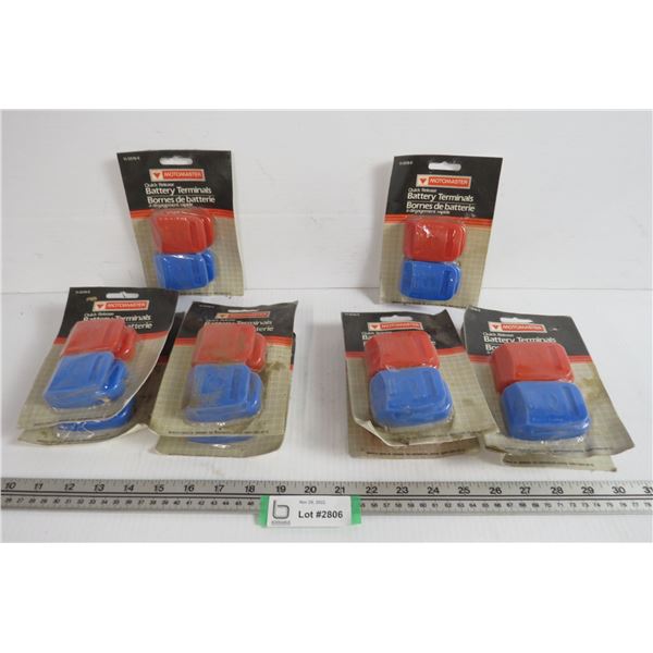 (10) Quick Release Battery Terminals